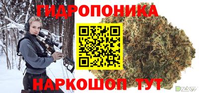 гашик Обнинск